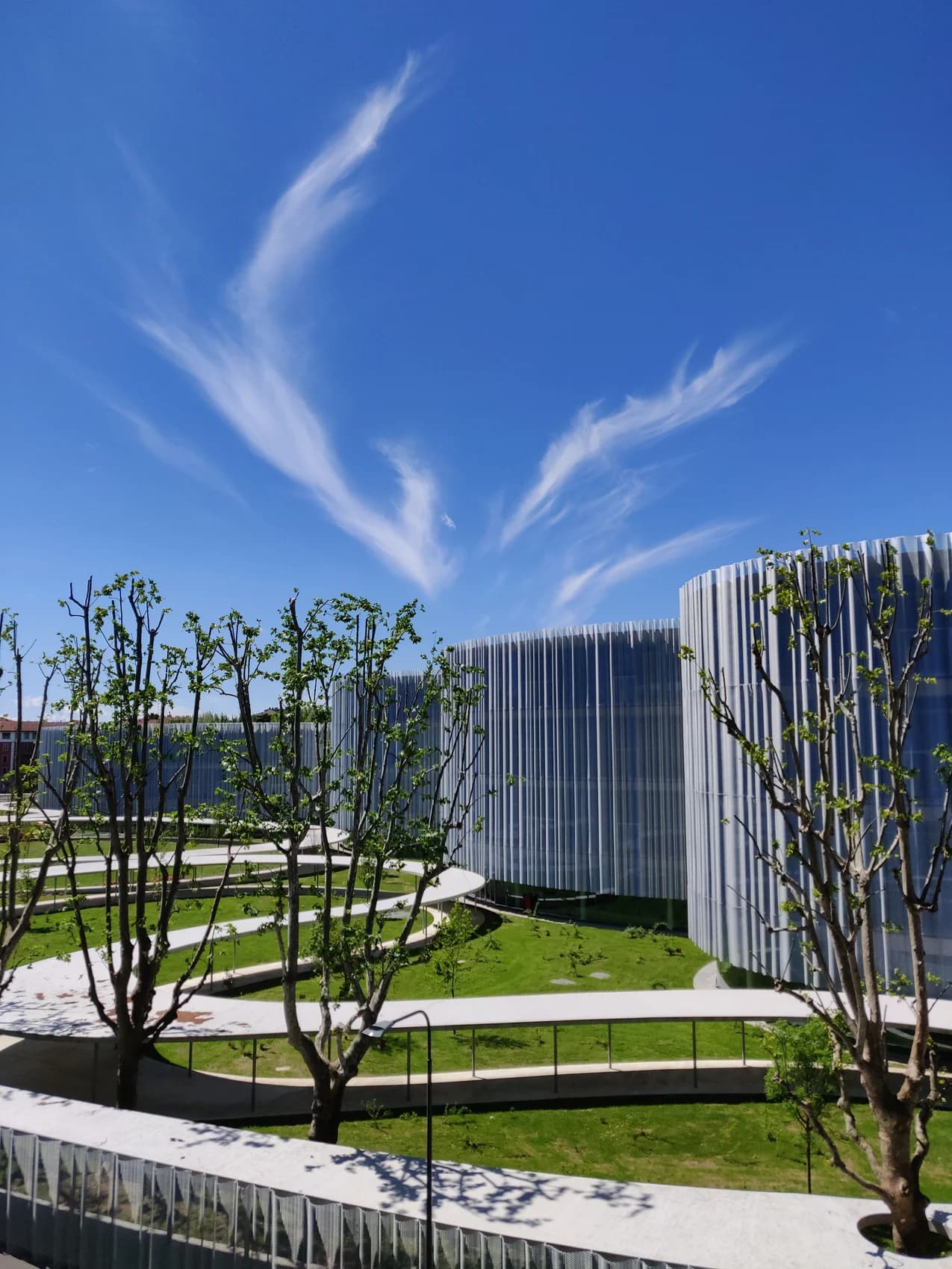 Bocconi University campus cover
