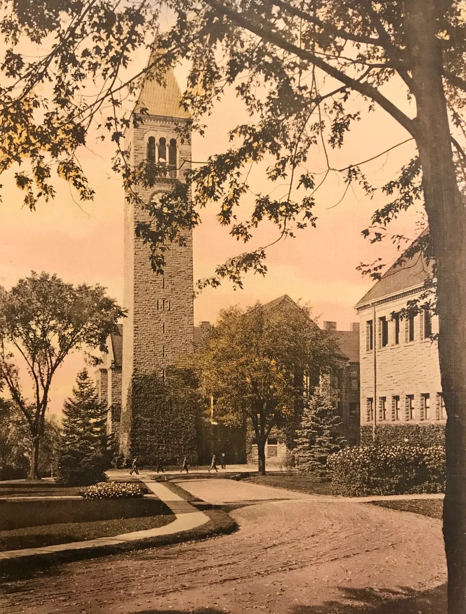 Cornell University campus cover