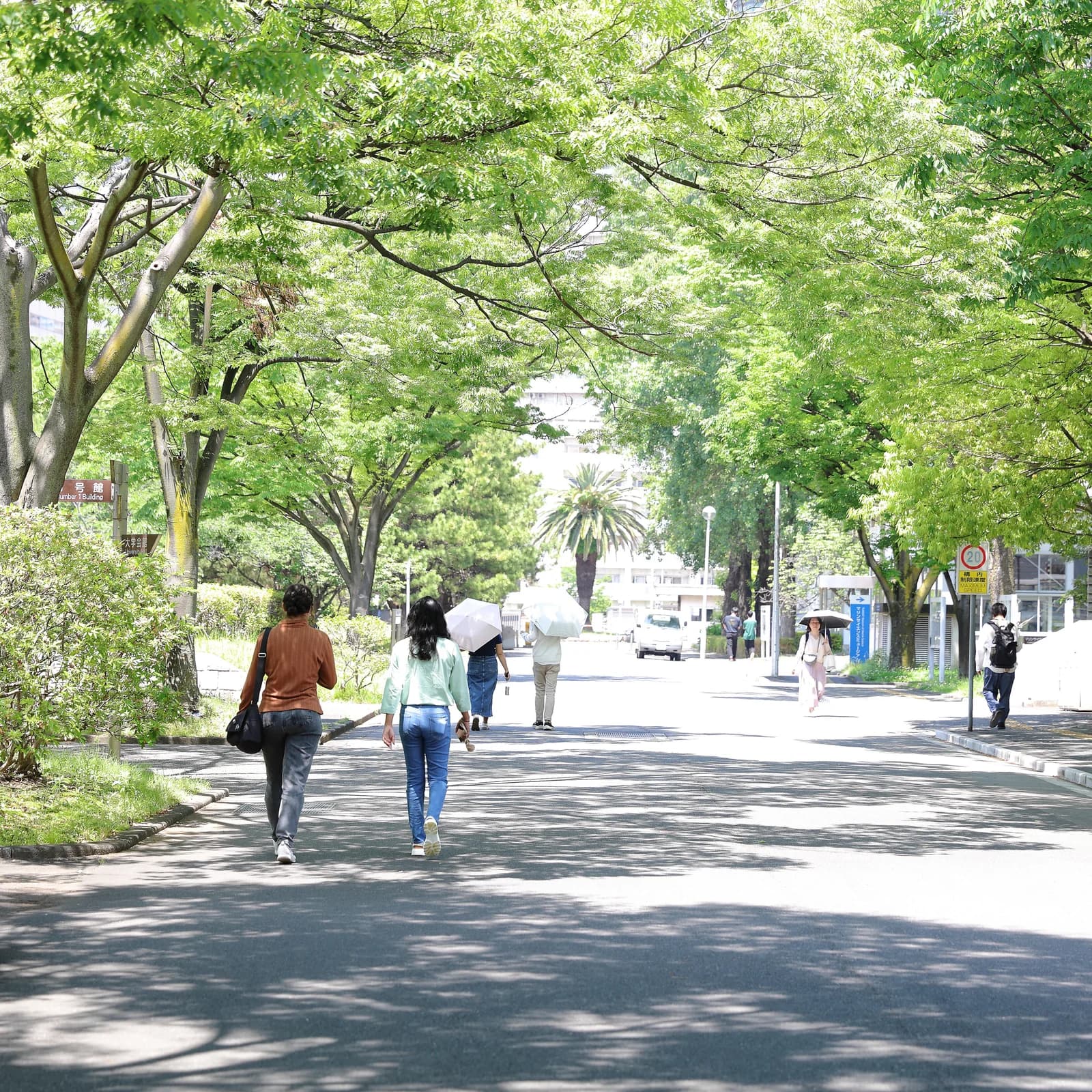 Tokyo University of Marine Science and Technology campus cover