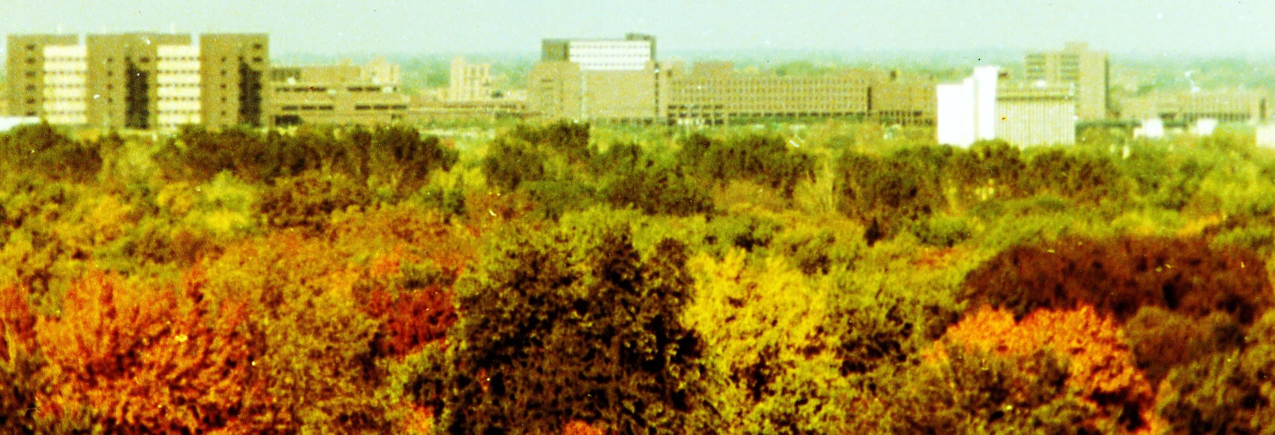 University at Buffalo campus cover